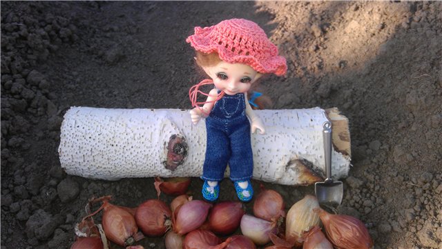 Весенние хлопоты. Realpuki Pupu, Aki