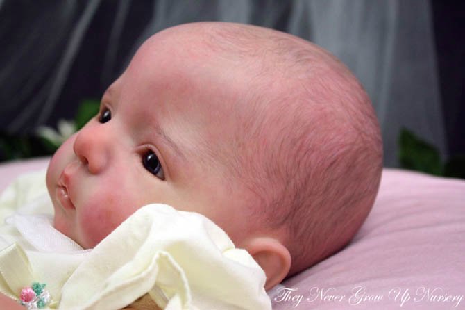 Новый молд куклы реборн Анна-Лиза от Дианны Эффнер