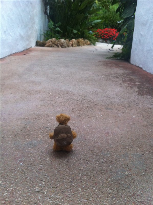 Большое путешествие маленькой девочки. Kaye Wiggs, Nutmeg