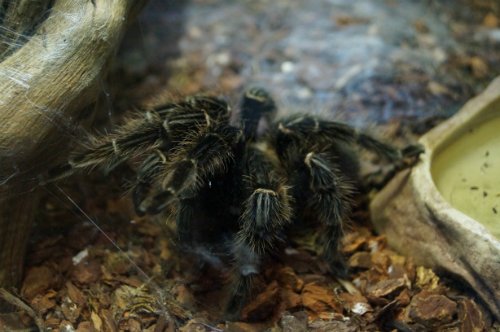 Воронежский океанариум — Туризм и путешествия: фотоотчеты из поездок