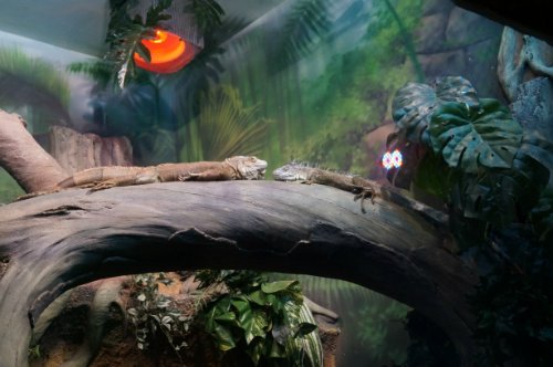 Воронежский океанариум — Туризм и путешествия: фотоотчеты из поездок