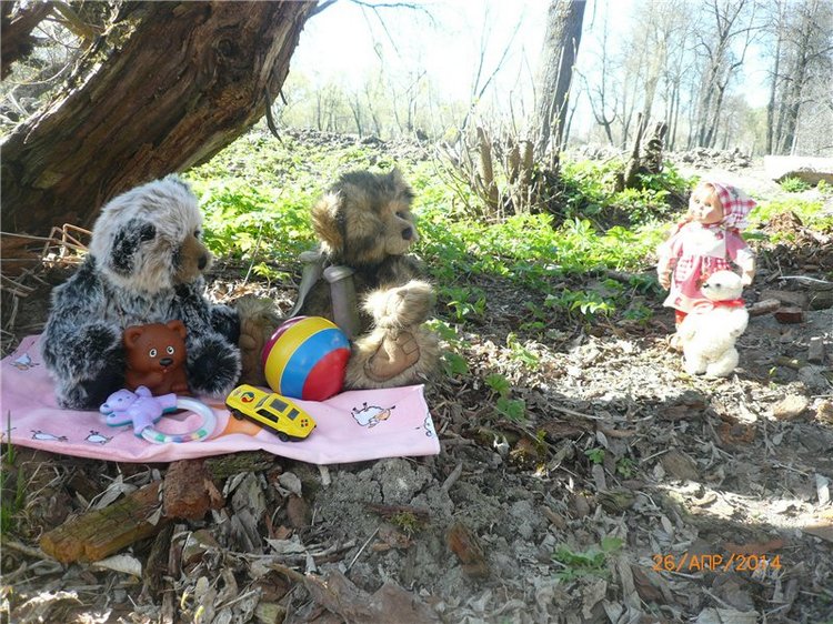 Про Мишку. Коллекционный Мишка Панда от Charlie Bears