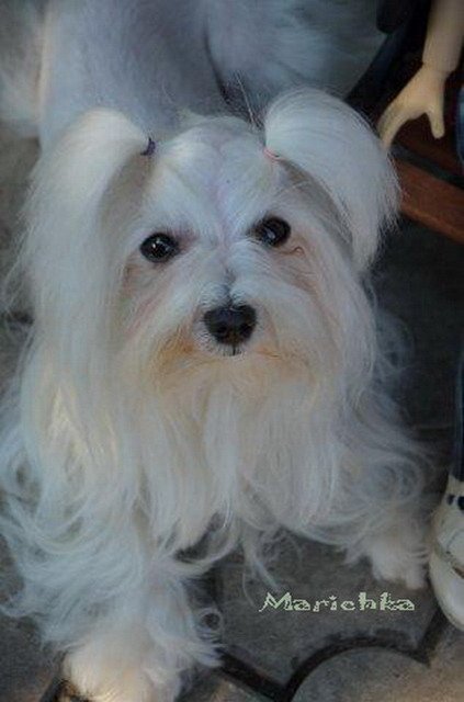 Вернуться в детство - кто не рад (фото 4)