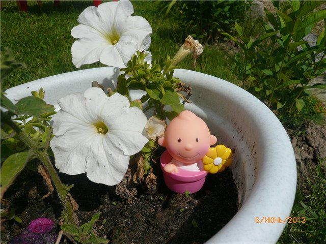 Мои позитивчики — Домашние коллекции кукол: фото собраний (фото 2)