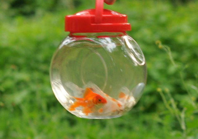 Galoob - Baby Face, часть 9. Сказка для дочки "Маша и медведь"