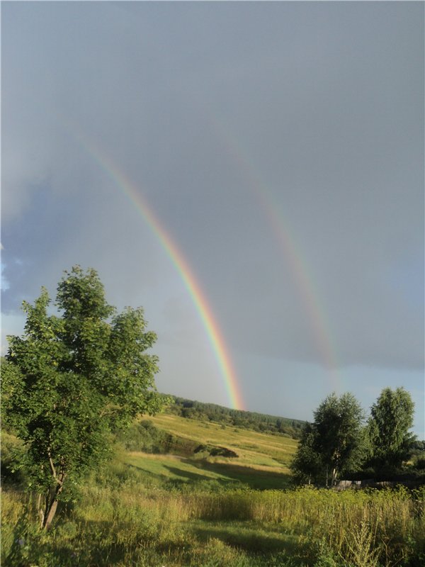 Ждем лета и верим в чудо! Куклы Готц и наряды