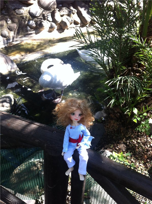 Большое путешествие маленькой девочки. Kaye Wiggs, Nutmeg