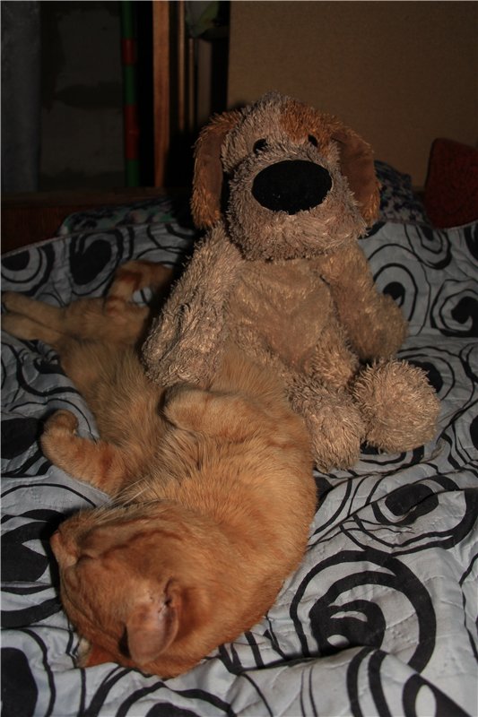 Во что играют наши дети — Болталка и разговоры обо всем: жизнь (фото 3)