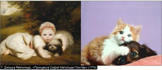 «Мяу» особого назначения или Весенняя кошкотерапия