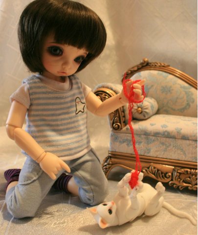 БЖД питомец - кот Као-Мани (фото 6)