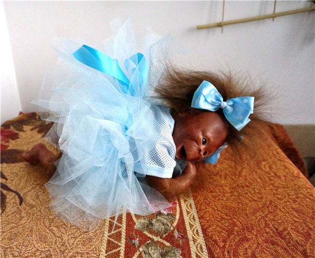 Привет из Африки. Реборн Бинки