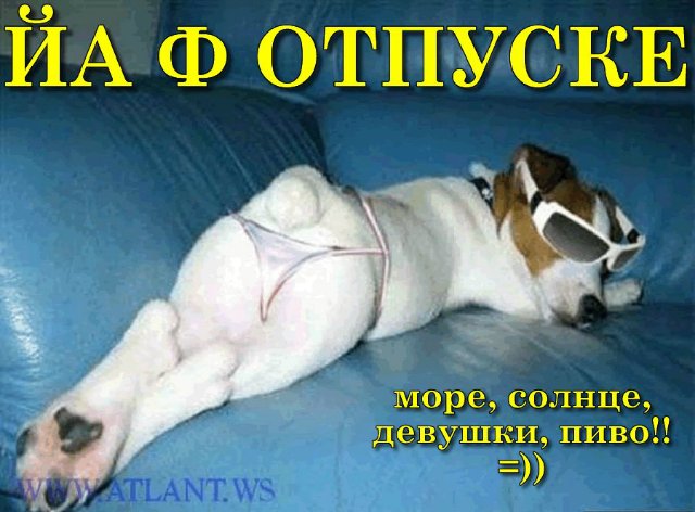 Понедельник - день тяжёлый | Бэйбики Понедельник - день тяжёлый