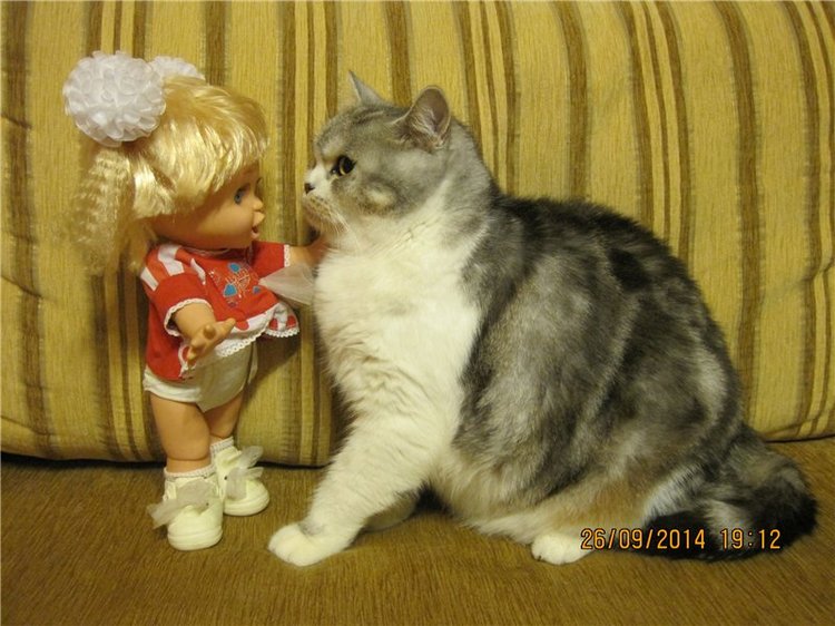 Малышка Сьюзи. Очаровательная куколка Galoob baby face