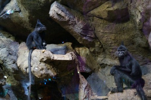 Воронежский океанариум — Туризм и путешествия: фотоотчеты из поездок