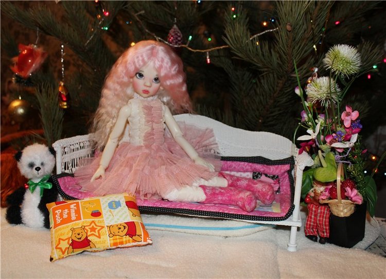 Мисс зима 2013-2014, участницы от Kaye Wiggs (фото 2)