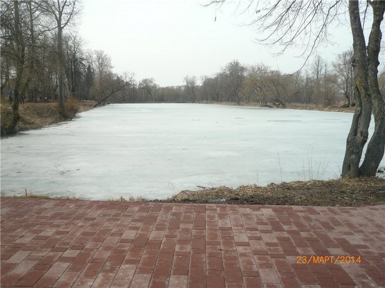 Предпраздничное настроение (фото 9)