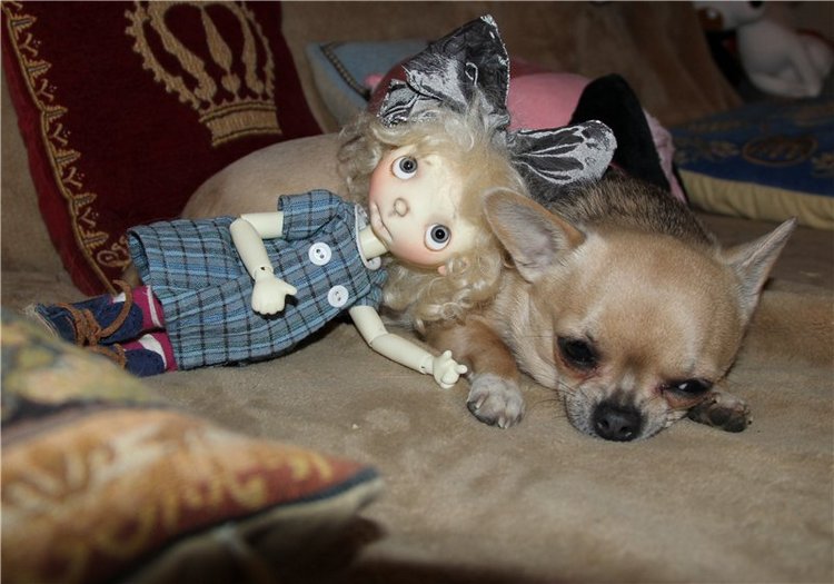 Мои чудачки :) Звездочки от Конни Лоу