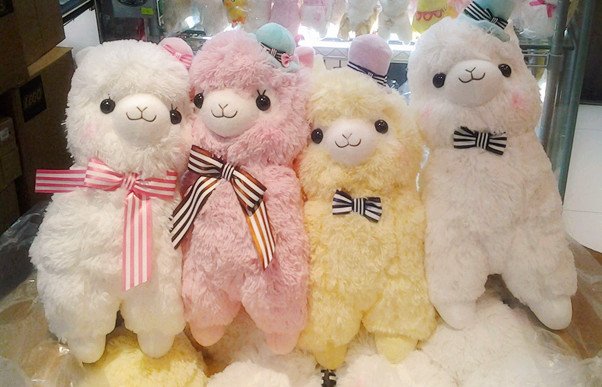 Японские альпаки Alpacasso (Amuse)