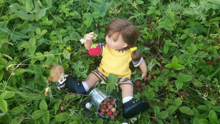 Земляничный день — Домашние коллекции кукол: фото собраний