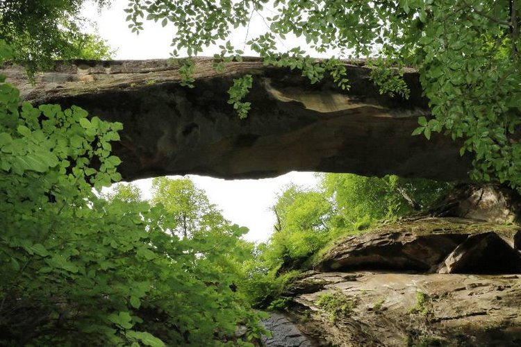 Те, кто нас любит и в домашнем халате, и без косметики, и растрепанными | Бэйбики Те, кто нас любит и в домашнем халате, и без косметики, и растрепанными