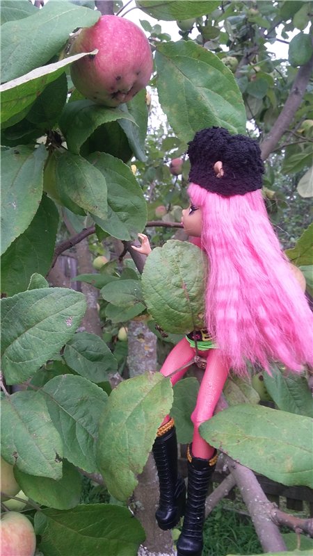 В гостях у бабушки ))) или яркое лето 2016 с девочками от Монстр Хай | Бэйбики В гостях у бабушки ))) или яркое лето 2016 с девочками от Монстр Хай (фото 4)