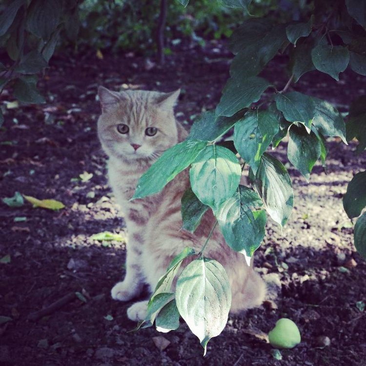 Те, кто нас любит и в домашнем халате, и без косметики, и растрепанными | Бэйбики Те, кто нас любит и в домашнем халате, и без косметики, и растрепанными
