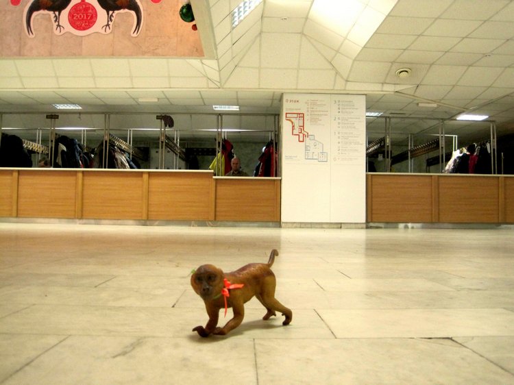 День в музее. Анжела в Государственном Дарвиновском музее (фото 5)