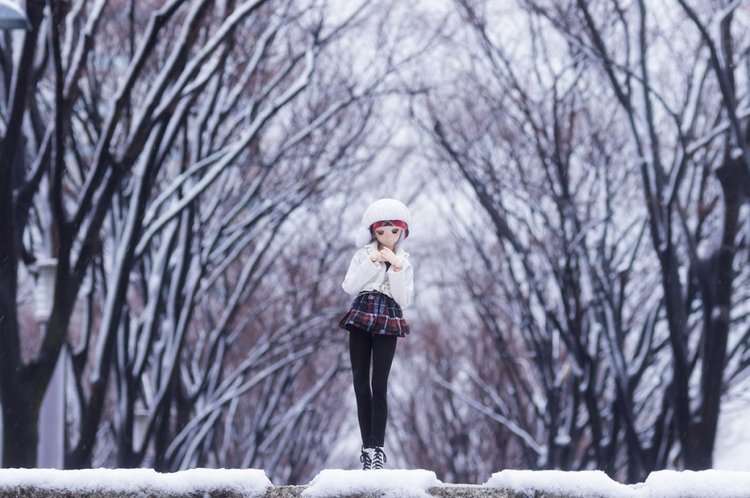 Красивые волшебные фотографии кукол от Azure Япония