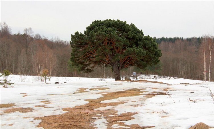 Весеннее путешествие. Продолжение