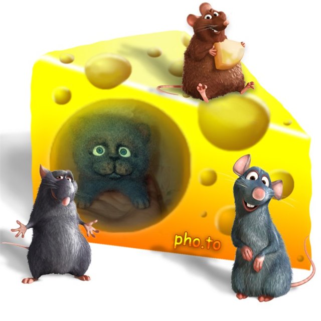 И снова котятки! Валяние игрушек из шерсти (фото 2)