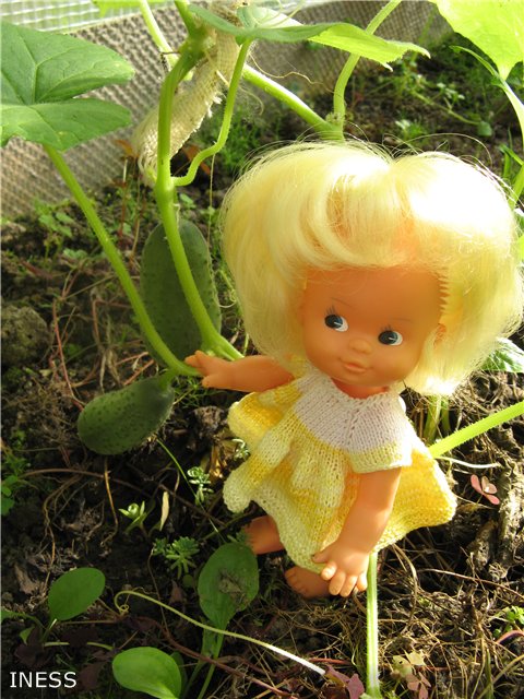 Поездка на дачу — Винтажные куклы ГДР (Немки): Бигги (фото 3)