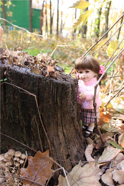 Ходит осень по дорожке... Мари и Катрина от Adora на осенней прогулке