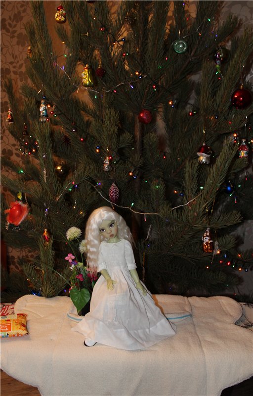 Мисс зима 2013-2014, участницы от Kaye Wiggs (фото 7)