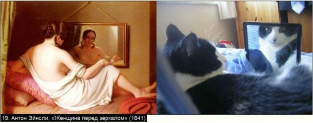 «Мяу» особого назначения или Весенняя кошкотерапия