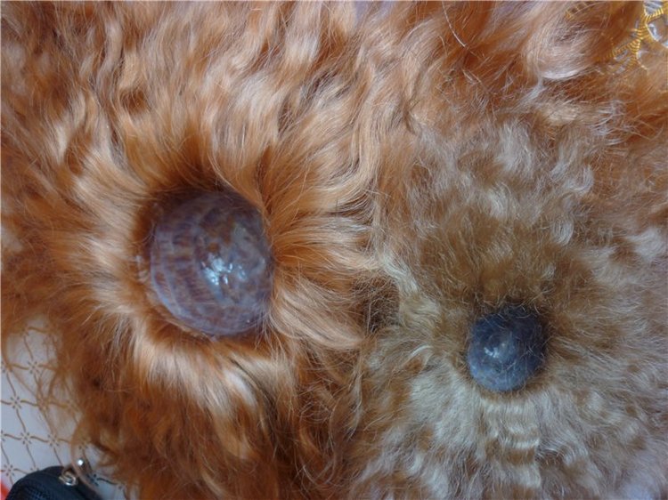 Парички для кукол BJD по авторской технологии Лидии Снуль