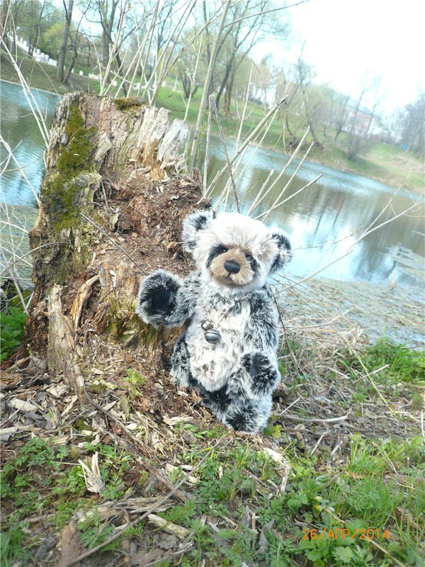 Про Мишку. Коллекционный Мишка Панда от Charlie Bears (фото 6)