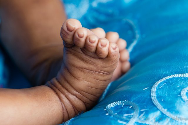 Молдик Эсме Laura Lee Eagles Прототип номер 3