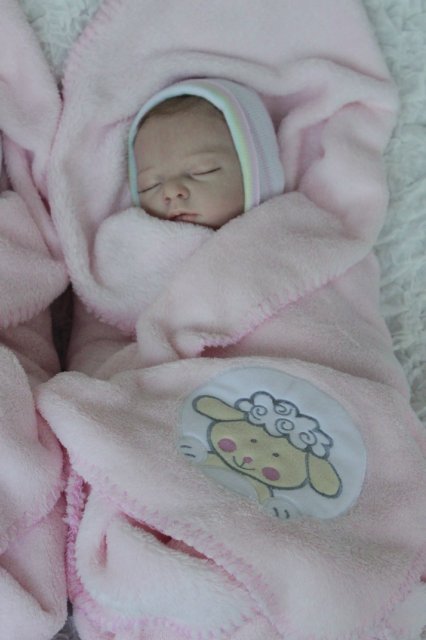 Одинаковые дочки... Куколки реборн Виктории Вишни