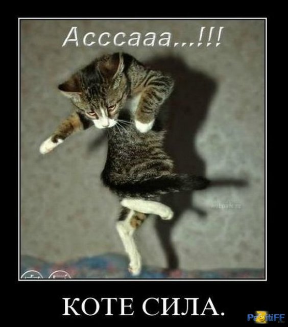 Море позитива) Для поднятия настроения (осторожно! много фото)))) | Бэйбики Море позитива) Для поднятия настроения (осторожно! много фото))))