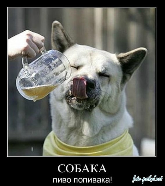 Понедельник - день тяжёлый | Бэйбики Понедельник - день тяжёлый