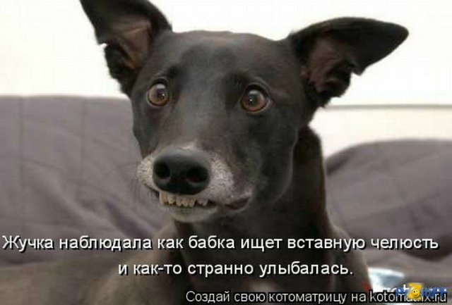 Понедельник - день тяжёлый | Бэйбики Понедельник - день тяжёлый