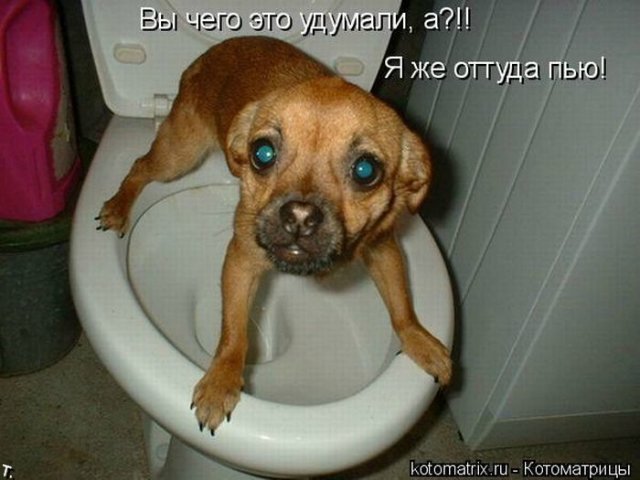 Понедельник - день тяжёлый | Бэйбики Понедельник - день тяжёлый