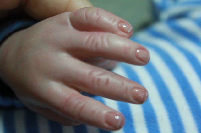 Мои двойняшки-кукла реборн Элины Кудрявцевой