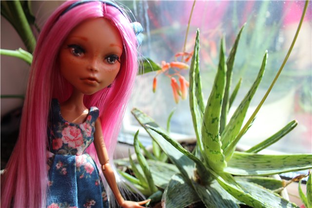 К Мальвине приехали сёстры. Ещё два ООАКа Monster high (фото 10)