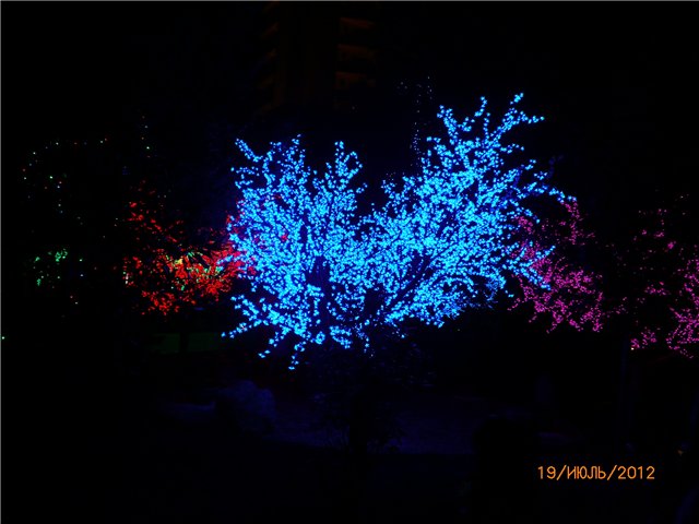 Сосенка Пин. Отпуск — Разные куклы BJD (БЖД): редкие бренды