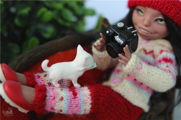 Хроники Мирельки. Авторская шарнирная кукла Марии Пикуновой "Домисоль"