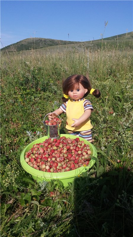 Земляничный день — Домашние коллекции кукол: фото собраний