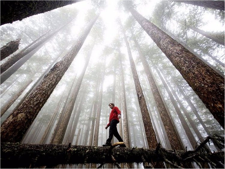 Лучшие фото National Geographic