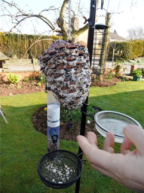 Люблю тебя, английская деревня