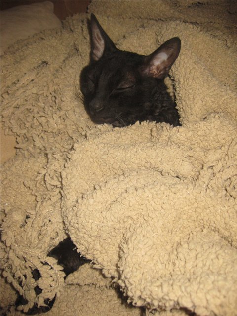 Золотая осень. Кукла Готц Симочка знакомится с Россией